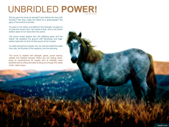 Unbridled Power by loswl