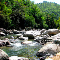 Wag Water River St. Mary, Jamaica