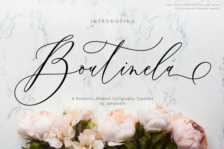 15 Beautiful Fonts - New Fancy Script Fonts | Graphicmule